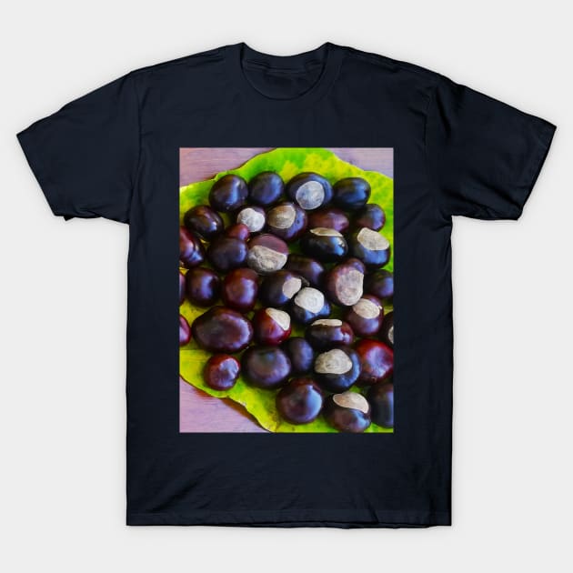 Cozy Autumn Vibes Chestnuts Landscape Photo T-Shirt by colorful444